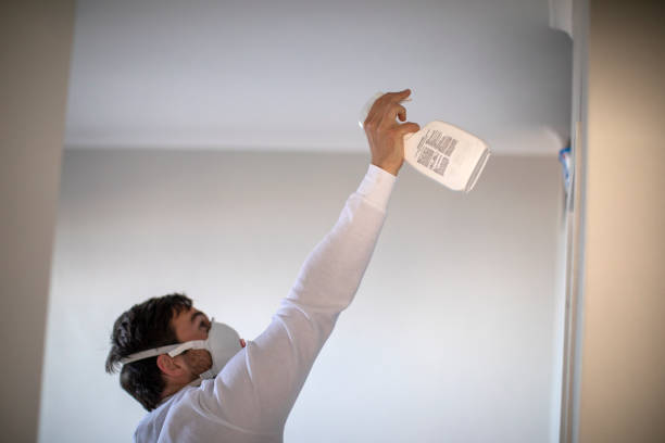 Best Crawl Space Mold Removal  in East Moriches, NY