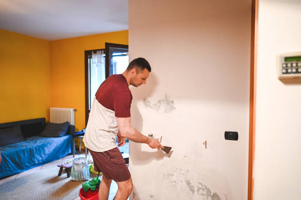 Best Mold Remediation Experts  in East Moriches, NY